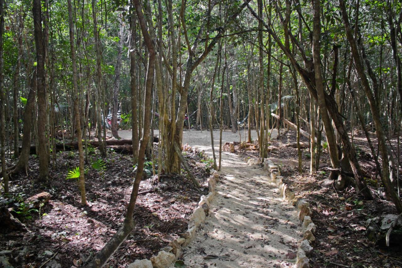 Aldea Maya-Ha Cabanas Con Cenotes Puerto Morelos Exterior photo